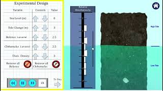Barnacle Simulation