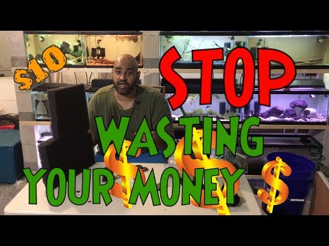 CHEAPEST Sponge Filter Media - 5 Uses, BEST $10 I'VE EVER SPENT!!!