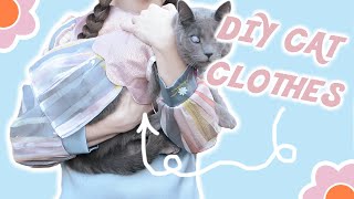 CAT CLOTHES! | Sewing a Dress For My Cat