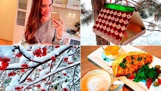ВЛОГ! Пришла зима, делаем кормушку для птичек и трансляция из PERISCOPE! AlenaTravkova ВЛОГ! Пришла зима, делаем кормушку для птичек и трансляция из PERISCOPE! AlenaTravkova