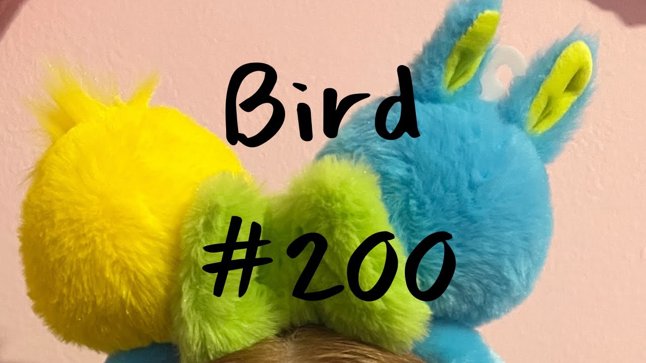 Draw 1,000 Birds With Me Roseate Spoonbill 10 of 10