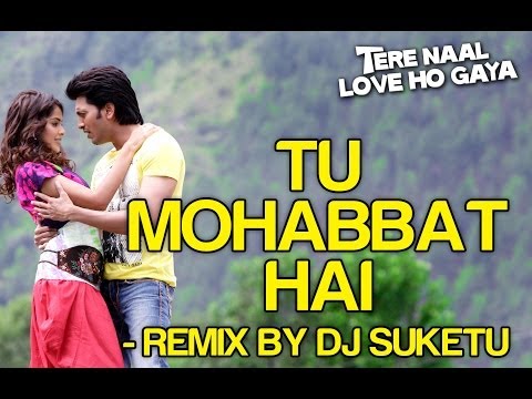 Tu Mohabbat Hai Remix - Feat Atif Aslam Full Song - Tere Naal Love Ho Gaya