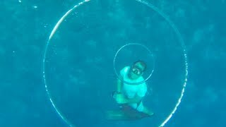 Bubble-icious
