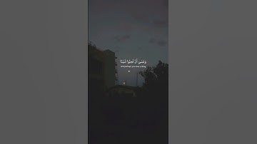 ﴿وَعَسَى أَنْ تَكْرَهُوا شَيْئًا وَهُوَ خَيْرٌ لَكُمْ﴾ ❤️‍🩹 #القرآن_الكريم #تلاوة_خاشعة #quran