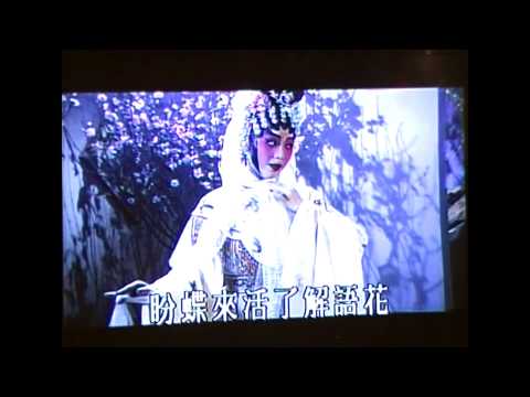 牡丹亭驚夢之幽媾