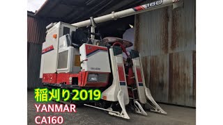稲刈り2019