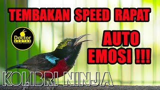 KONIN GACOR FULL ISIAN TEMBAKAN VARIASI COCOK UNTUK PANCINGAN DAN MASTERAN SEGELA JENIS BURUNG BAHAN