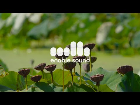 내 가슴엔 너라는 비가 내린다 🤍 enable Piano New Age