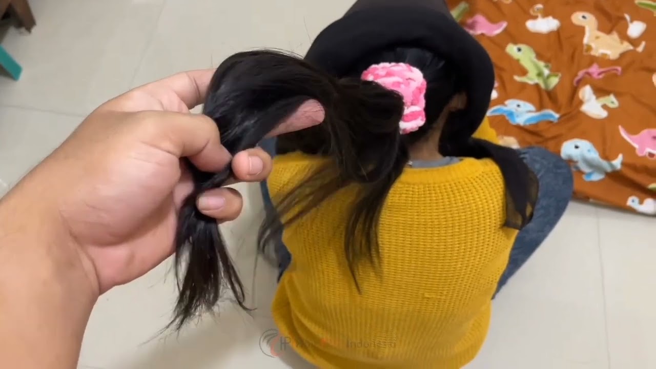 hiarplay beautiful longhair