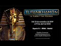 Tutankhamón, la tumba y sus tesoros | Visita completa a la exposición, Madrid, 2019-2020