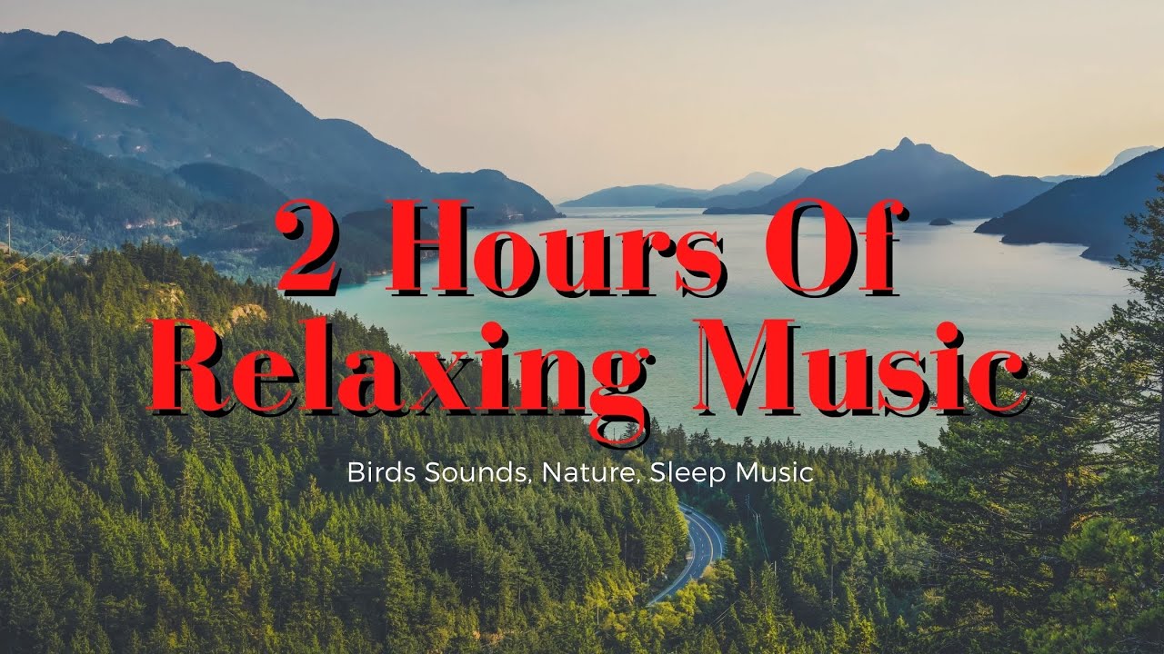 2 Hours Of Relaxing Music, Birds Sounds, Nature, Sleep Music