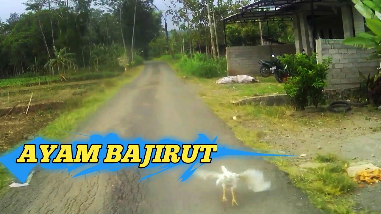 menyusuri jalan/pasar mongkrong kedungpilang kalinanas gilirejo  2021