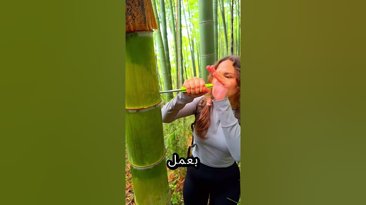 كيف تعيش في الغابة بدون ماء؟!