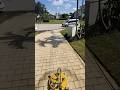 Driveway cleaning #pavercleaning #pressurewashing #powerwashing #cleaning #satisfying #viral #fyp