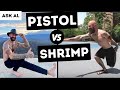 Pistol Squat Vs Shrimp Squat Which Is The Better One Legged Squat Pistol Squat Vs Shrimp Squat Which Is The Better One Legged Squat