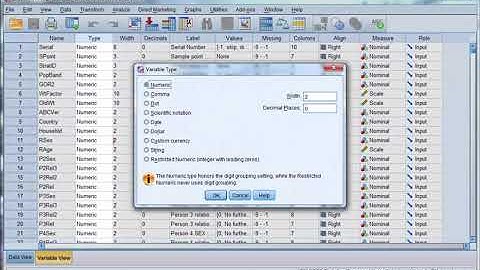 Variable view in SPSS