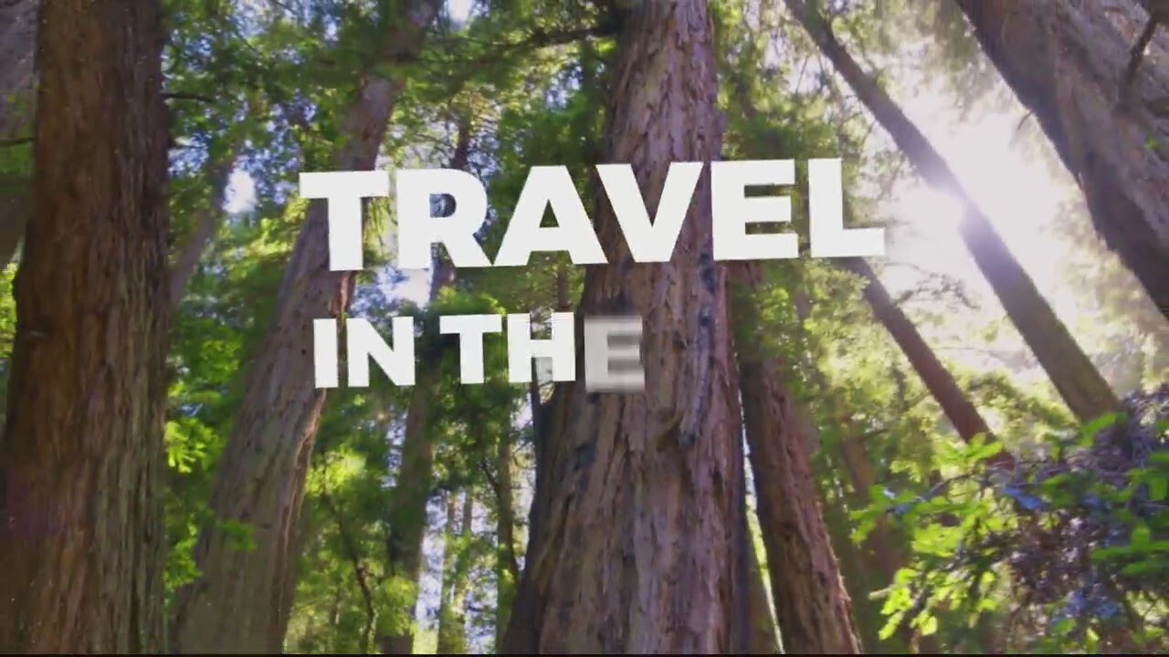 Exploring the world's largest boat and watersports show in Germany 'boot Düsseldorf'