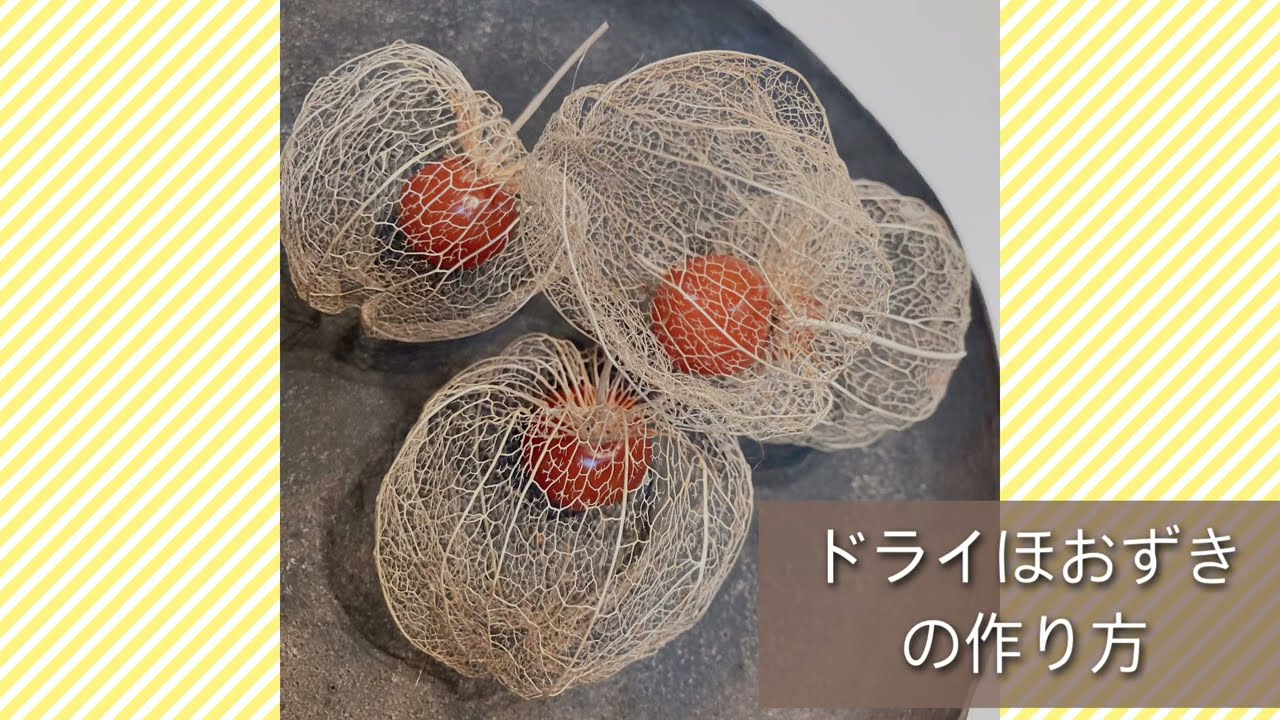 透かしほおずき】の作り方～鬼灯のドライフラワー～ - YouTube