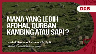 Mana yang Lebih Afdhal, Qurban Sapi atau Kambing ? - dr. Raehanul Bahraen, M.Sc, Sp.PK hafizhahullah