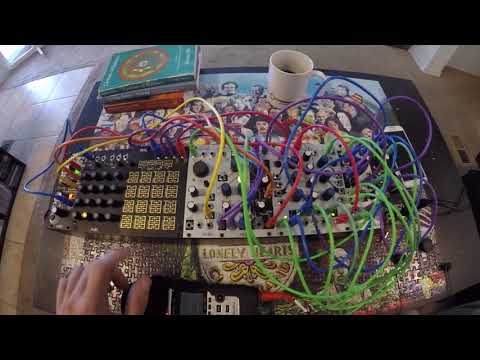 A different approach to the Make Noise Rosie module