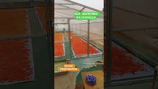 VEGETABLE DRYER / SOLAR DRYER / TOMATO DRYER / SOLAR DEHYDRATOR #machineryforfood #solar #msme
