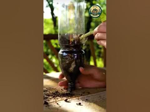 Дачные идеи лайфхак #грядки #огород #дача #сад #парник #теплица # ...