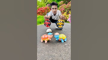 2 Ta Afstandsbediening Schildpad 🐢 unboxing #schildpad