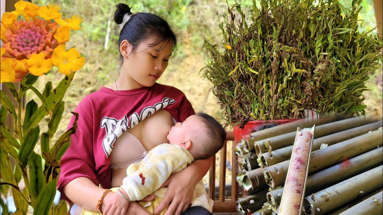 Full video: 135 days of vegetable gardening, sesame harvesting, how to cook sticky rice