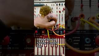 Thumbnail for Dammit Simon.... #buchla #synthesizer #puppet #soundeffects #analog #simonthesynthnerdatitagain