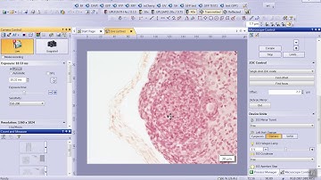Cellsens DI V2.1 Setup DP80  Camera on IX83