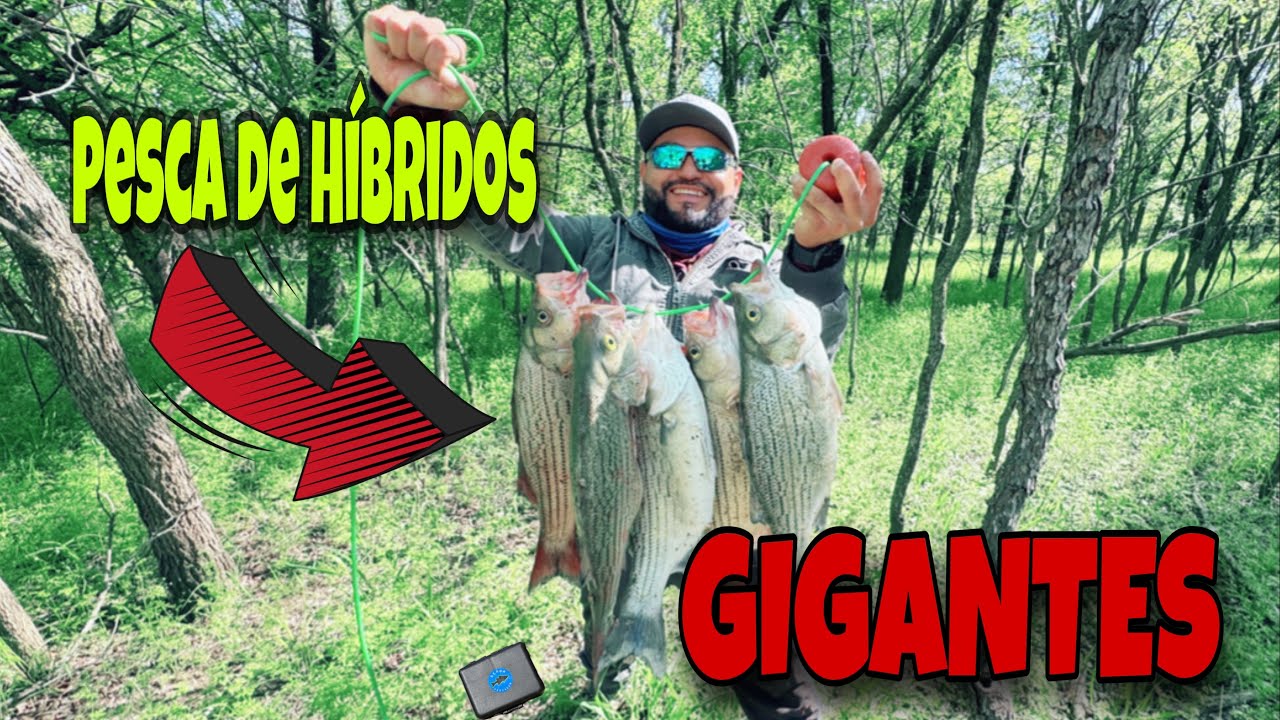 Pesca de Lobinas GIGANTES DE RÍO!