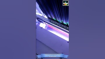 Whole Cashew Kernel Sorting Solutions