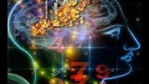 Conducting a Statistical Mini Research