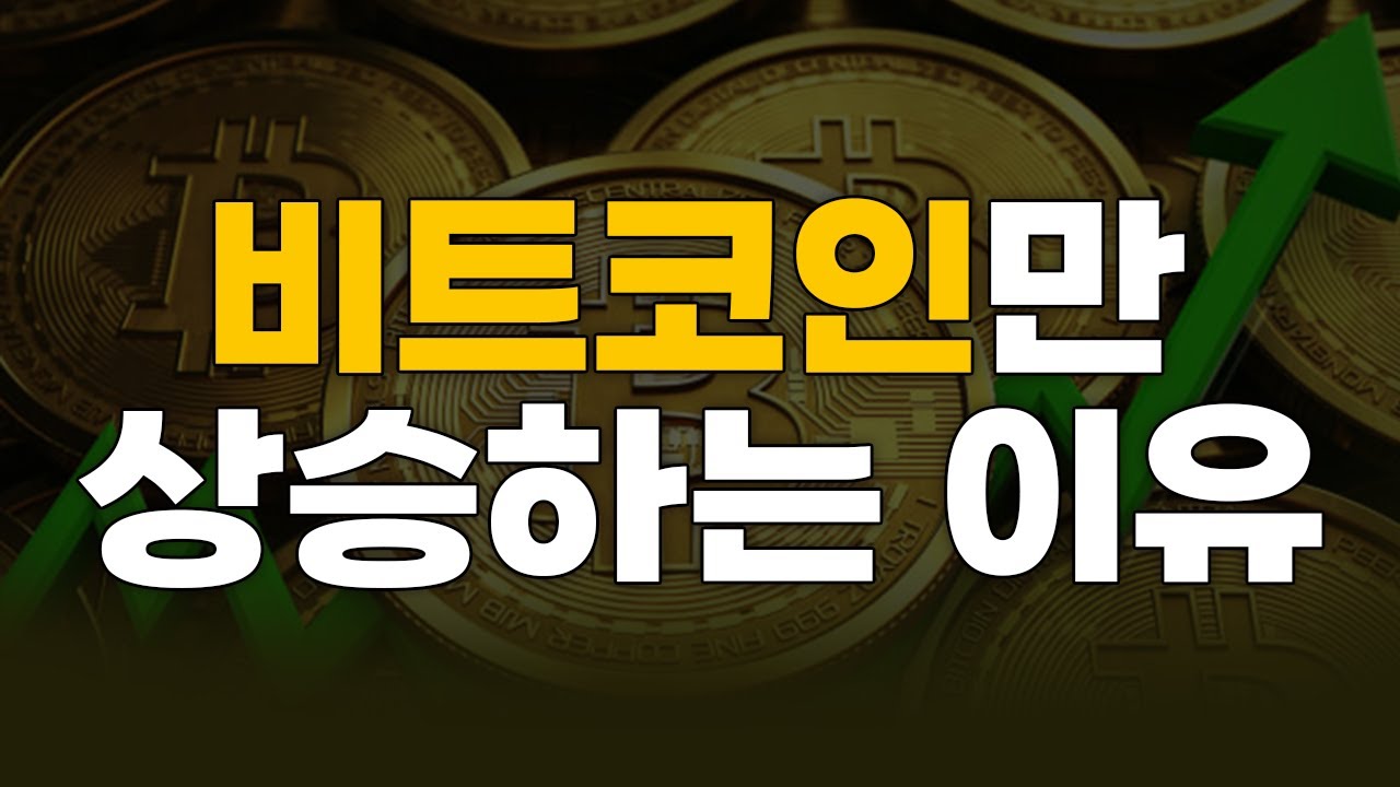비트코인만 상승하는 이유/퍼즈의 매매전략/퍼즈의 포트폴리오 - YouTube