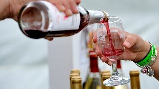 2017 Adirondack Wine & Food Festival Promo