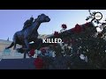 Melbourne Cup Horse Deaths: The Cruel Truth About Horse Racing