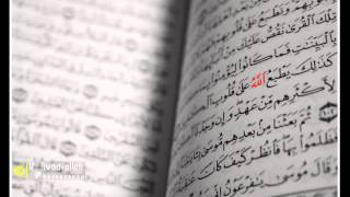 سورة الفيل عبدالله خياط