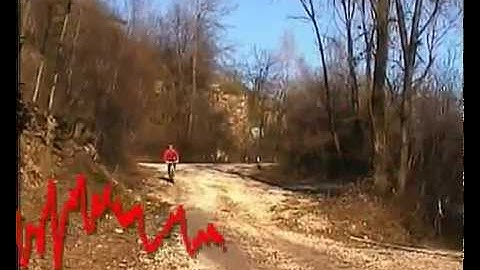 Mountain bike fatigue test