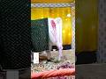 Ali Fatima Ki Nigahon Ka Tara Muharram Tajiya Muhammadï º Muharram Muharram2024 Shorts Viral Ali Fatima Ki Nigahon Ka Tara Muharram Tajiya Muhammadï º Muharram Muharram2024 Shorts Viral