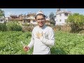 Vote Responsibly | Sabin Karki -Beest | (Ad Campaign Parody)