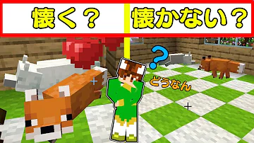 レゴマインクラフトキツネ Mp3