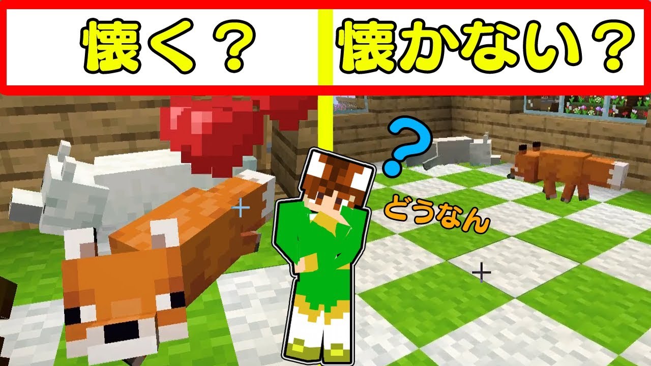 なつかせる マイクラ キツネ 【マイクラ】『キツネ』のいる場所・スポーン条件・繁殖方法など完全解説！ペットにはできないが、なつかせることは可能【マインクラフト】