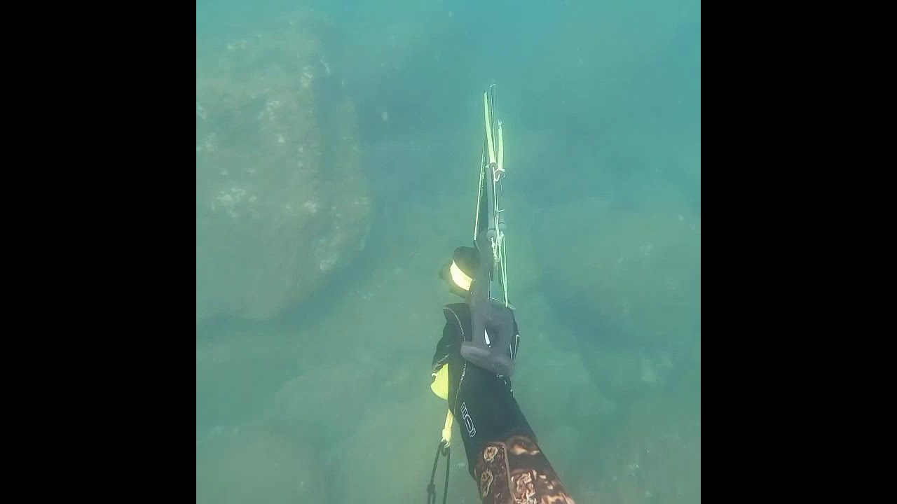 Spearfishing in goa🔥