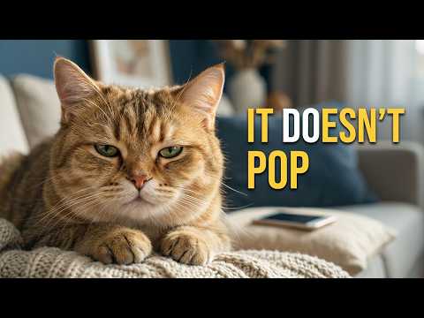 The Funniest Cat Reactions Ever Recorded! 😹✨ Viral Pet Moments