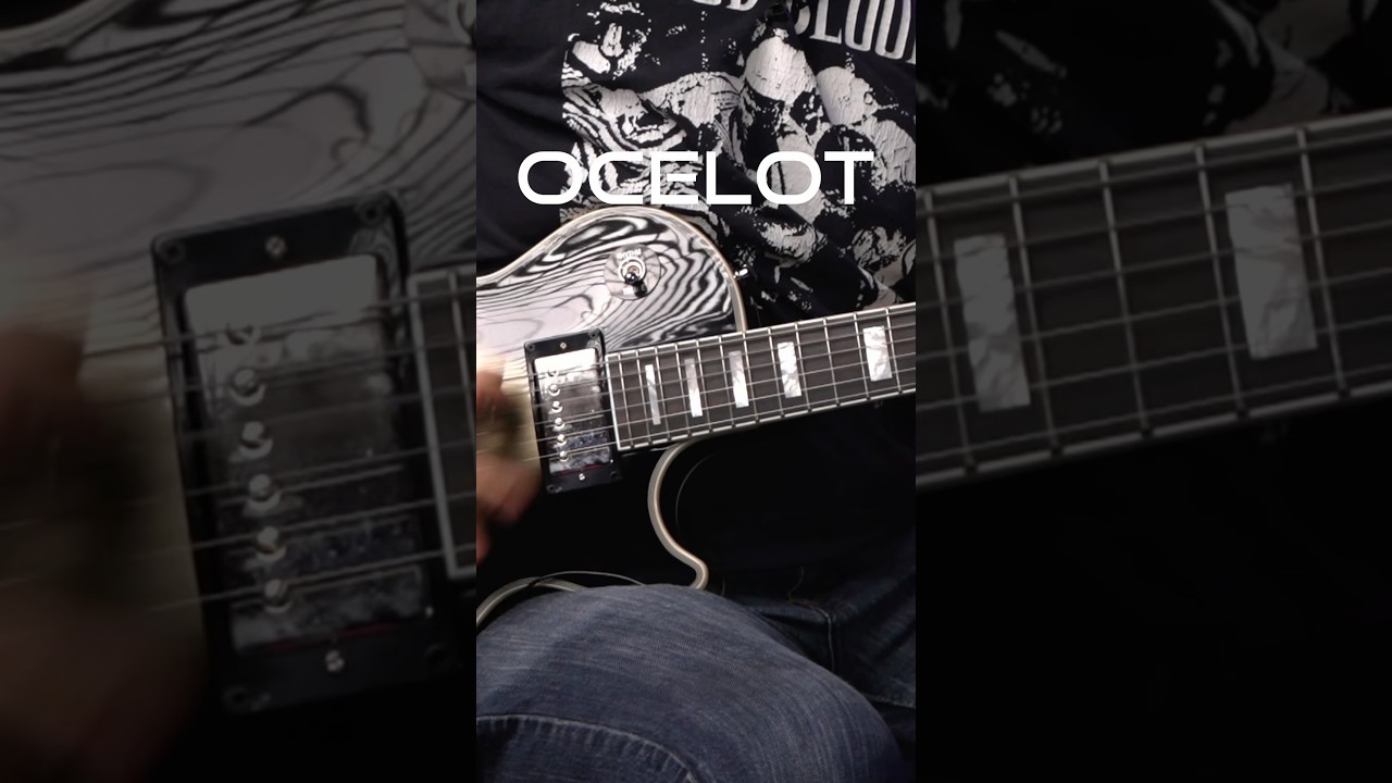 Kyle Bull meets the Ocelot! 