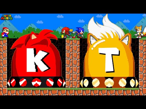 Can Team Mario Collect Ultimate KNUCKLES - TAILS Switch in New Super Mario Bros.Wii???