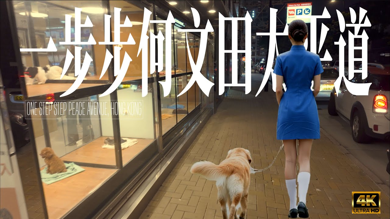 **One Hour of  Lofi**  92nd walk Peace Avenue, Hong Kong (第92步， 何文田太平道) 4K