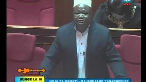 Tundu Lissu Vs Mwana Sheria Mkuu Bungeni