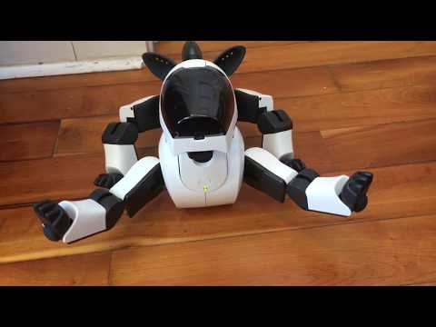 AIBO アイボ ERS-210 SONY 限定色エベレストホワイト AIBO アイボ ERS-210 SONY 限定色エベレストホワイト