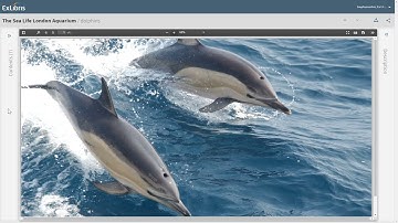 Alma February 2023: Improved UX in the Alma Viewer